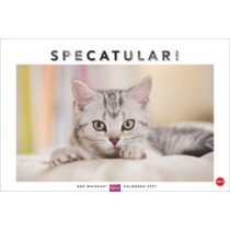 Whiskas Katzenkalender 2027