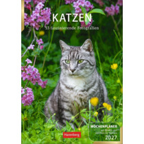 Katzen Wochenplaner 2027 - 53 faszinierende Fotografien