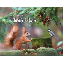 Vadim Trunov: Märchenhaftes Waldleben Posterkalender 2027