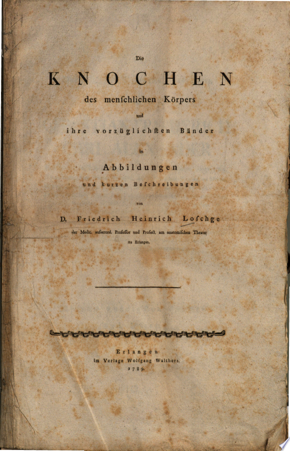 Knochen