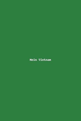 Mein Vietnam