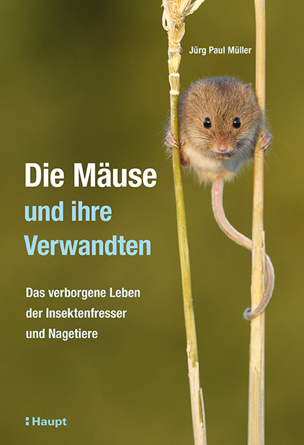 Wölfe – Mythos und Wirklichkeit
