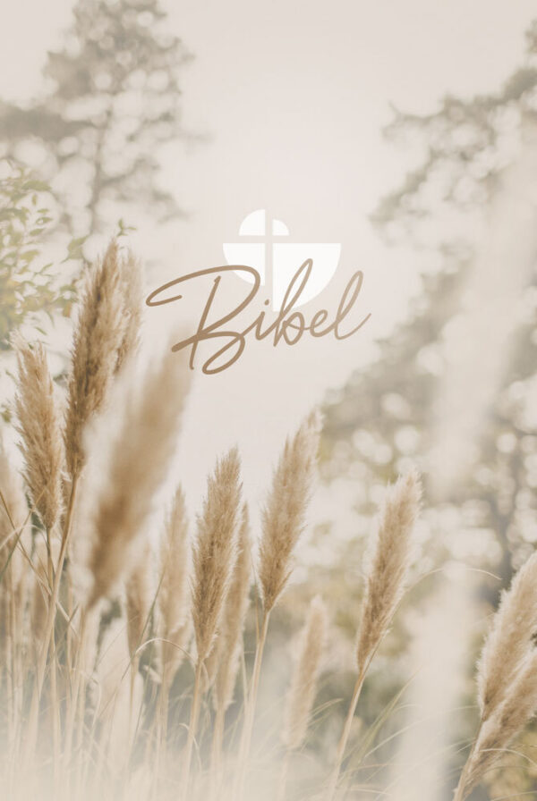 Schlachter 2000 Bibel – Taschenausgabe