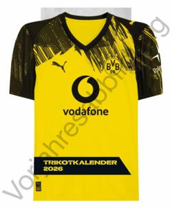 BVB Trikotkalender 2027: Kalender im originalen Trikot-Design, perfekt f?r Fans des BVB. Die tollsten Spielerfotos in einem dekorativen Wandkalender.