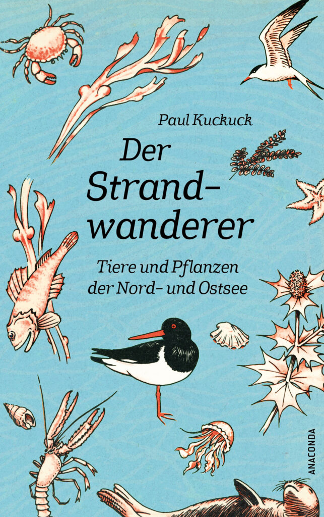 Tiere der Heimat – Deutschlands Säugetiere und Vögel