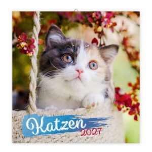 TRÖTSCH - Broschürenkalender Katzen 2027