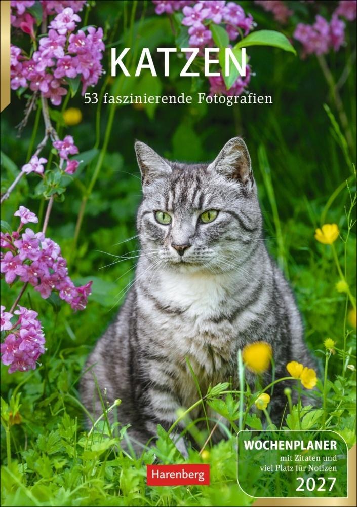 Katzen Wochenplaner 2027 – 53 faszinierende Fotografien