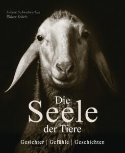 Die Seele der Tiere - Gesichter, Gefühle, Geschichten