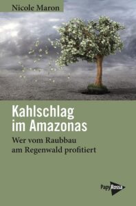 Kahlschlag im Amazonas