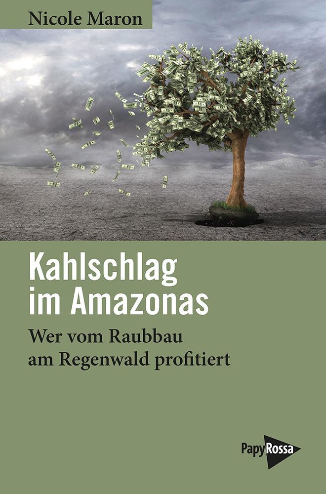Kahlschlag im Amazonas
